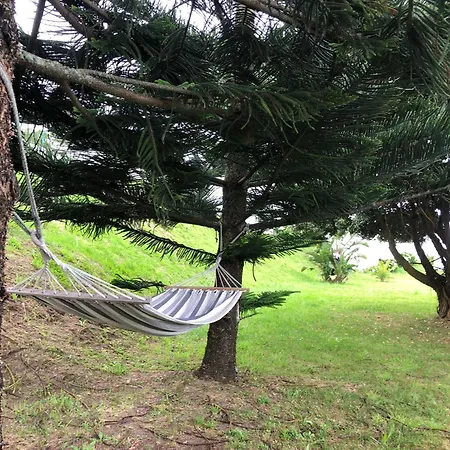 Vivenda Flor Feriehus *