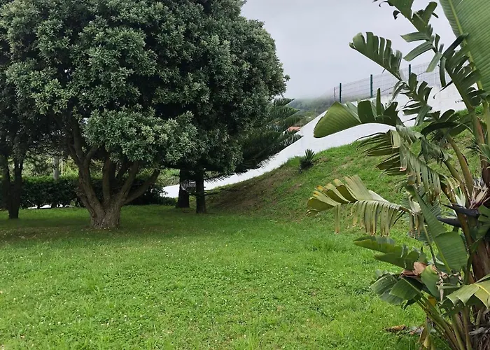 Vivenda Flor 펜션 Ponta Delgada